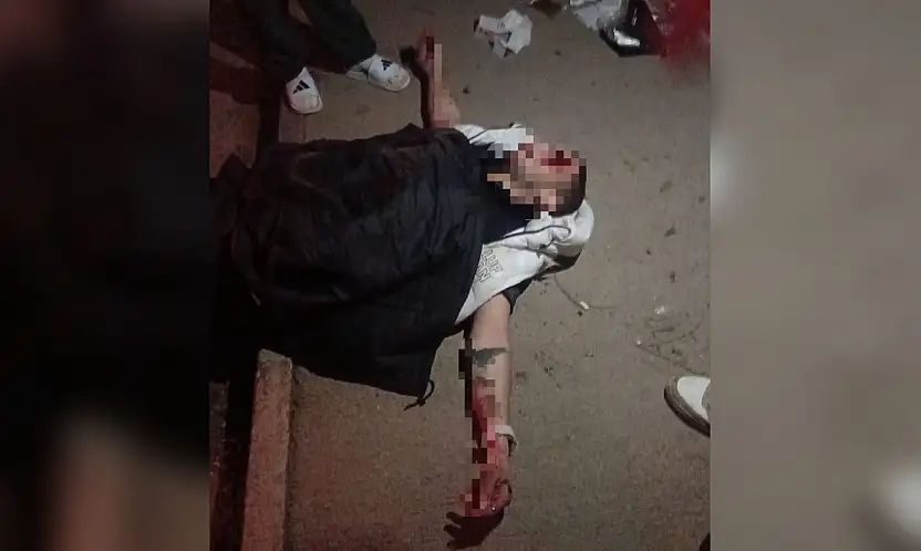 Domuza çarpmamak için kaza yaptı