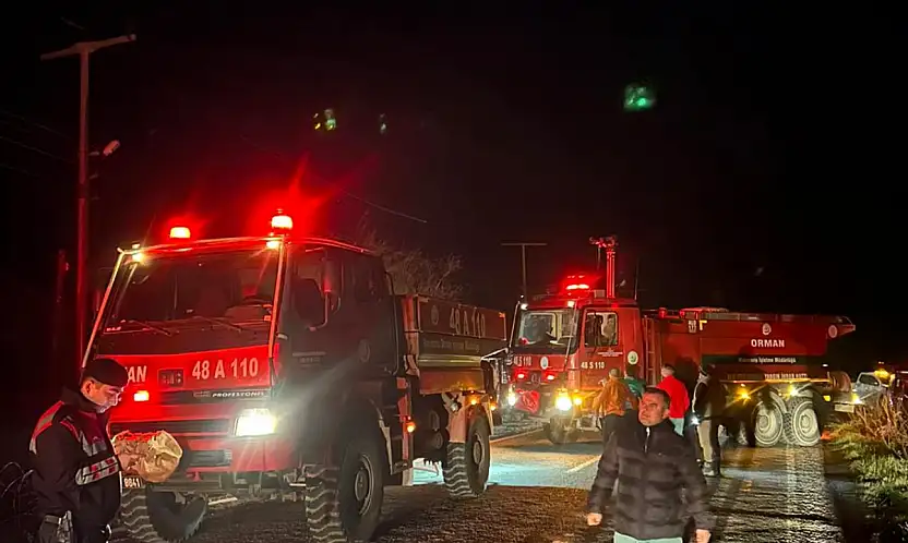 Elektrik hatları yangına neden oldu