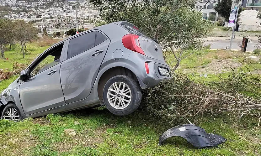 Eskiçeşme'de korkutan kaza: Otomobil ağacı devirerek durdu
