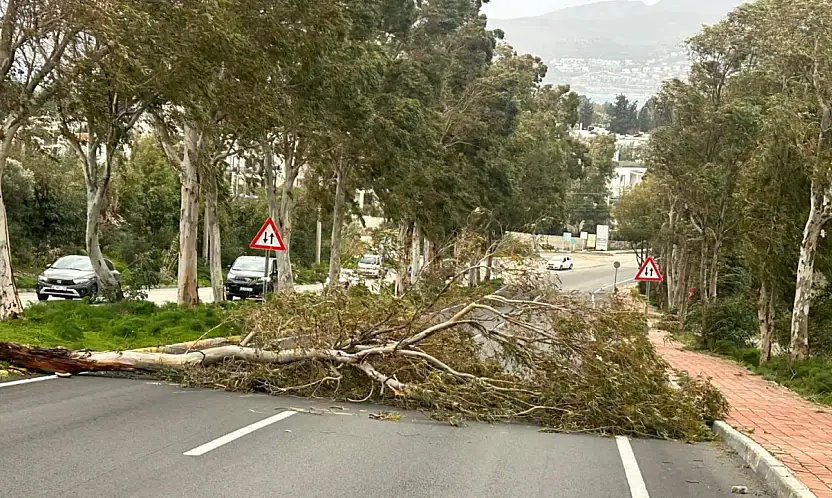 Fırtınalı hava yolda tehlike yarattı