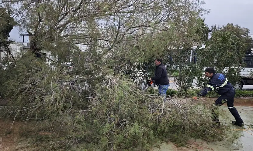 Fırtınaya karşı sahada alarm