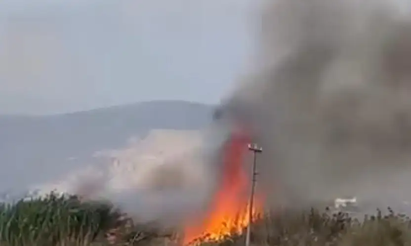 Havalimanı yanında otluk alanda yangın paniği