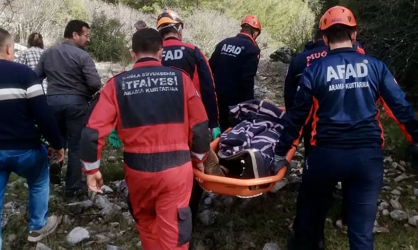 Hayvan otlatırken kayalıklardan düştü