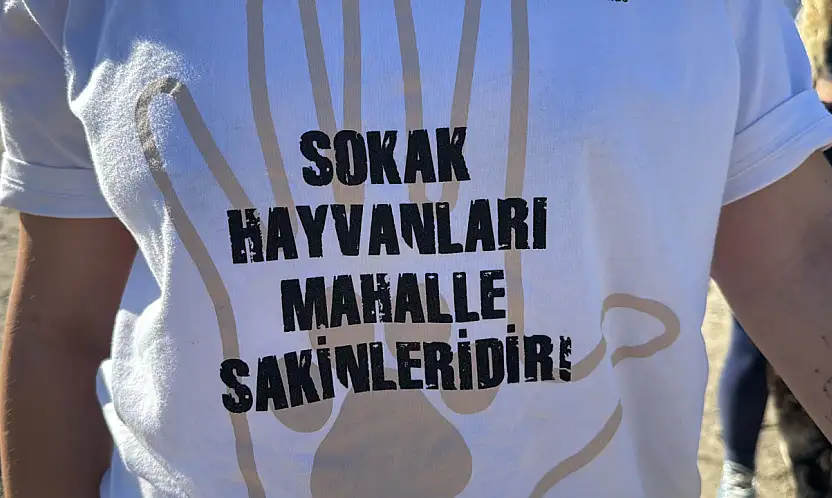 Hayvanseverlerden 'can dostları sahiplendirmek için' seferberlik