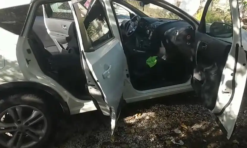 Hayvanseverlere ruh hastası dedi