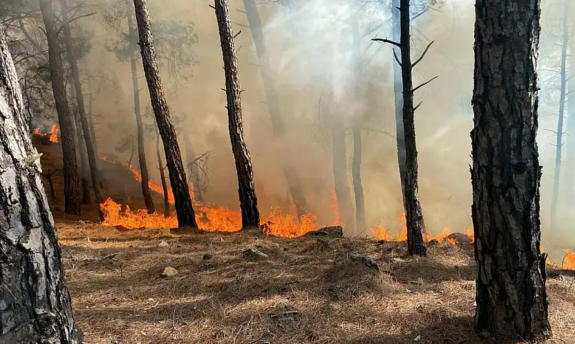 İki ilçede arka arkaya yangın alarmı
