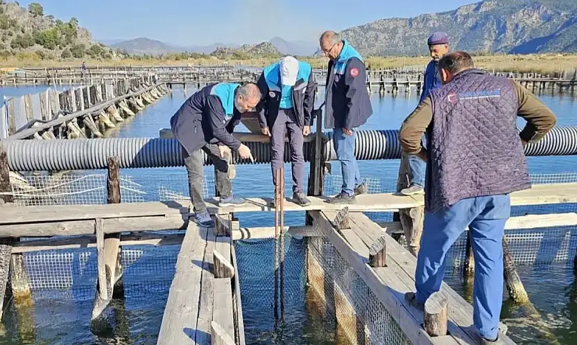 Kaçak av araçlarına el konuldu