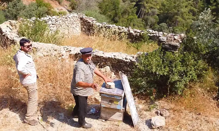 Kadim arıcılık geleneği hayat buluyor