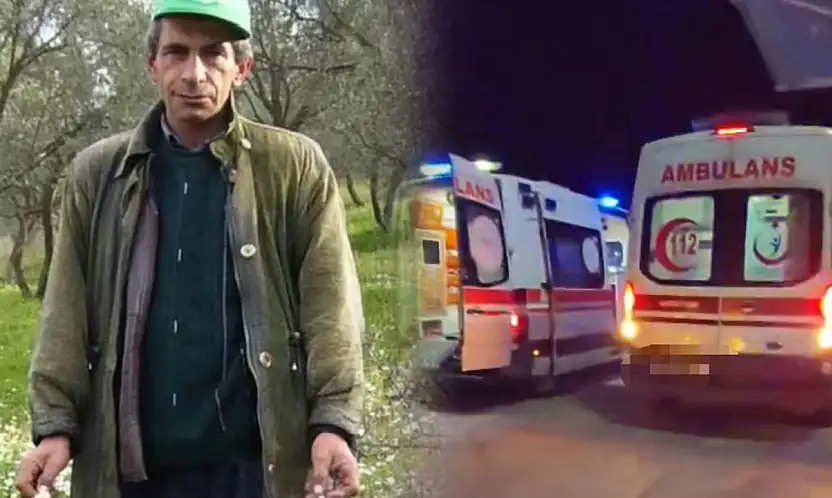 Kamyonun çarptığı yaya hayatını kaybetti