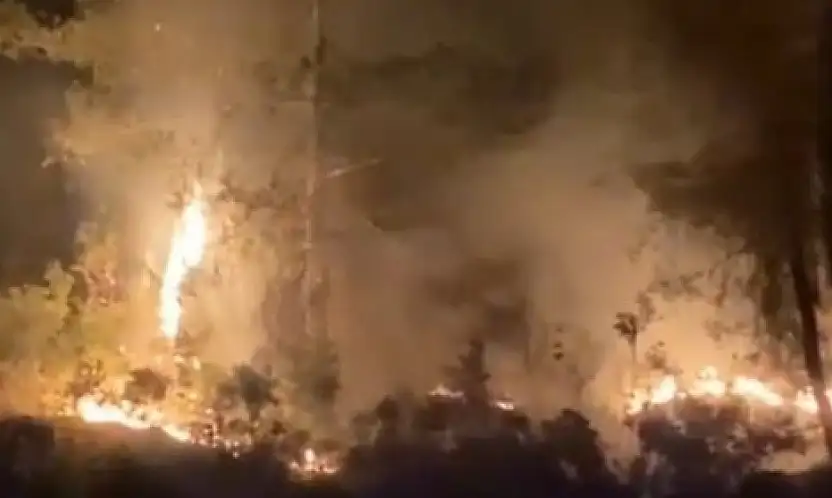 Orman yangını kontrol altına alındı