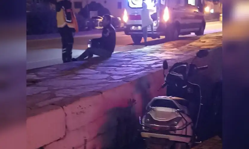 Köpeğe çarpmamak için fren yaptılar yola savruldular