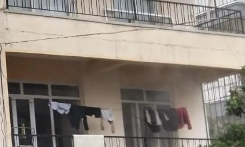 Mutfak yangınında 2 kedi öldü