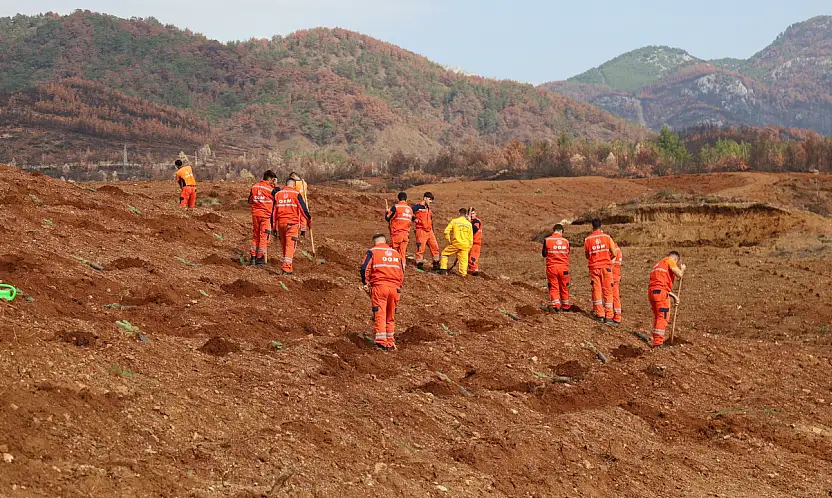 On binlerce fidan toprakla buluşacak