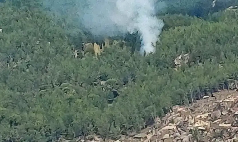 Orman yangını kontrol altına alındı