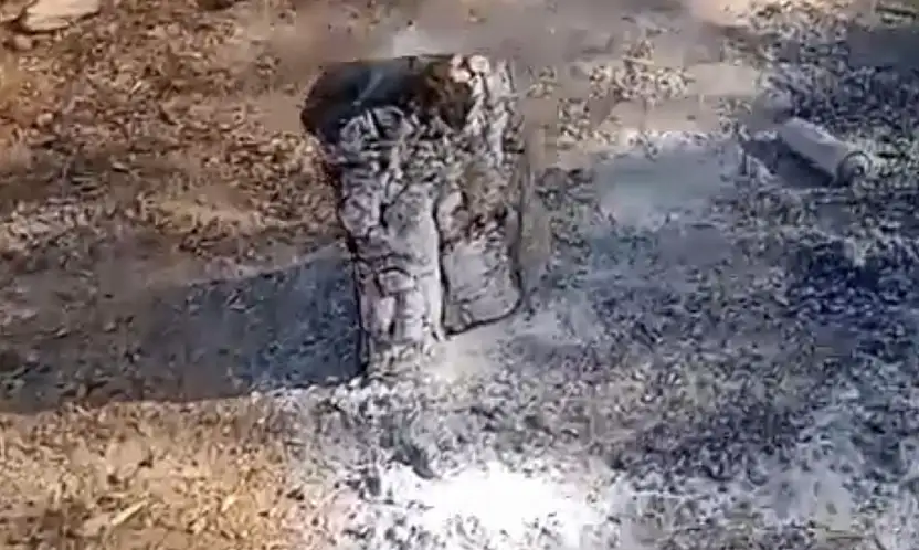 Orman yangınına davetiye ateşi söndürmeden gittiler