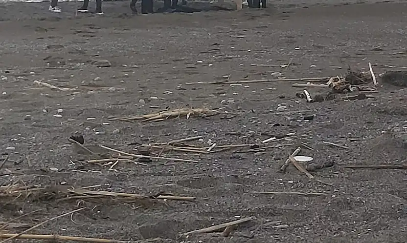 Parçalanmış erkek cesedi bulundu