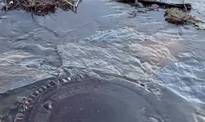 Pis su denize akıyor, koku sahili sardı!