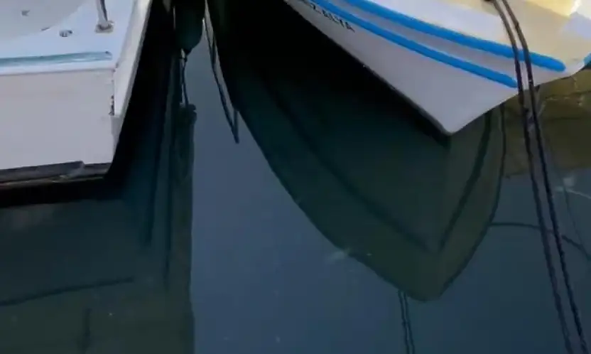 Sevgililer günü etkinliğinde şok manzara