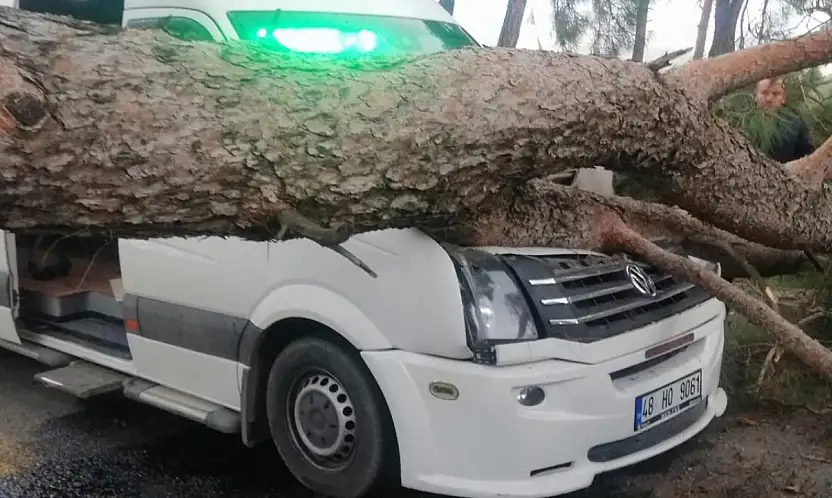 Seyir halindeki minibüsün üstüne ağaç devrildi