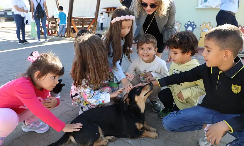 Sıcacık yuvaya kavuşan canlar