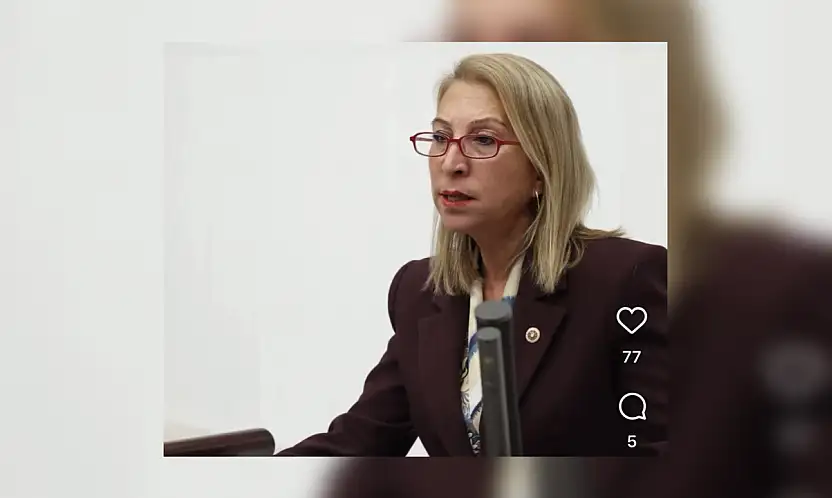 Süreyya Öneş Derici TBMM'de Muğla'nın sorunlarını gündeme taşıdı