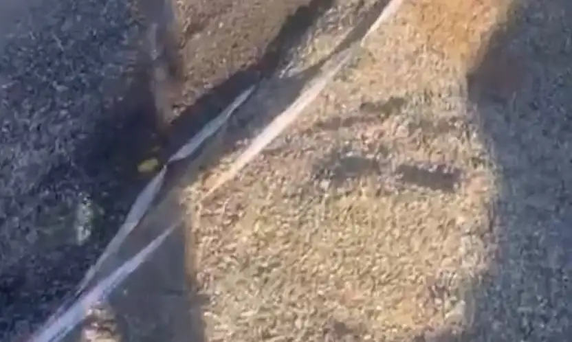 Sürücüler için risk yaratıyor