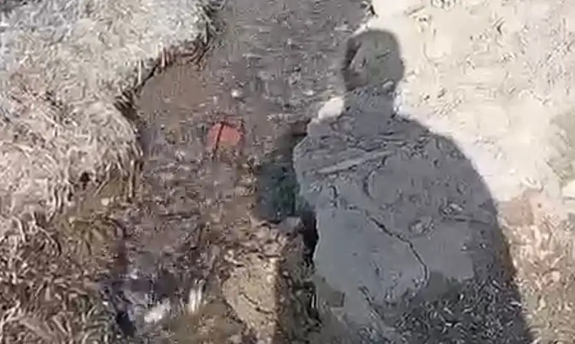 Turgutreis'te boşa akan su tepki çekti