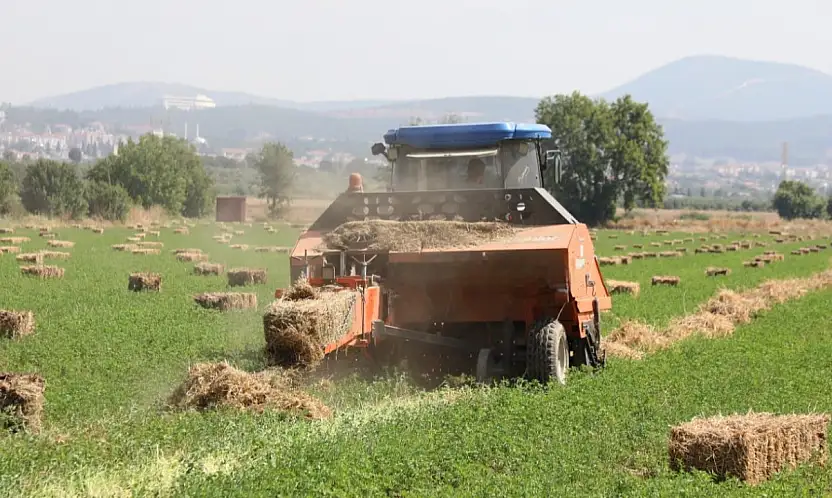 Yem bilgisi desteği askıya çıktı