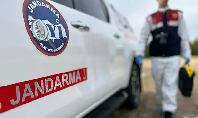 Zeytin ağacından düşen vatandaş hayatını kaybetti