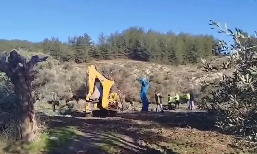 Zeytinlik tartışması büyüyor